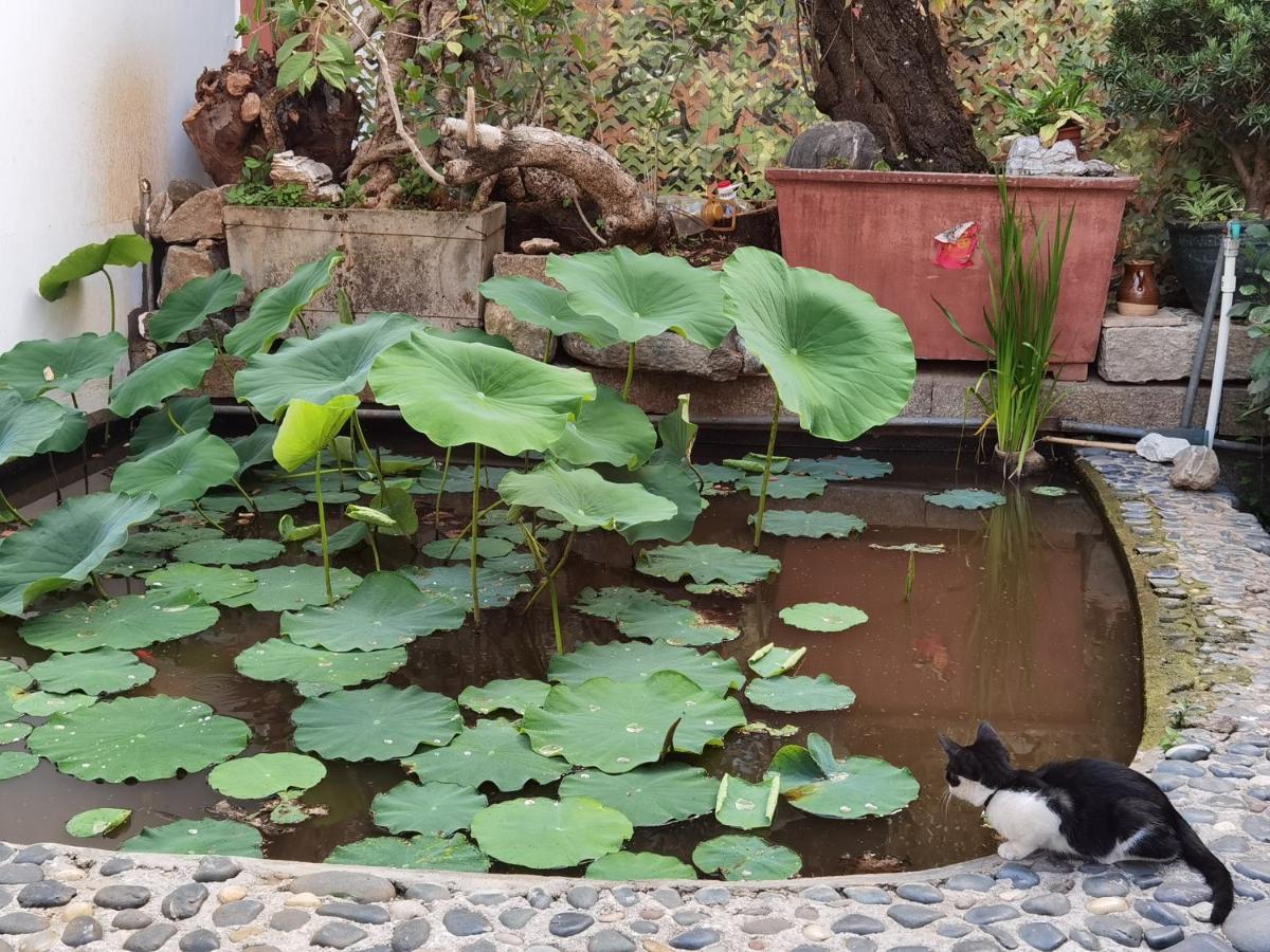 The Lily Pad Inn Dali  Exterior foto