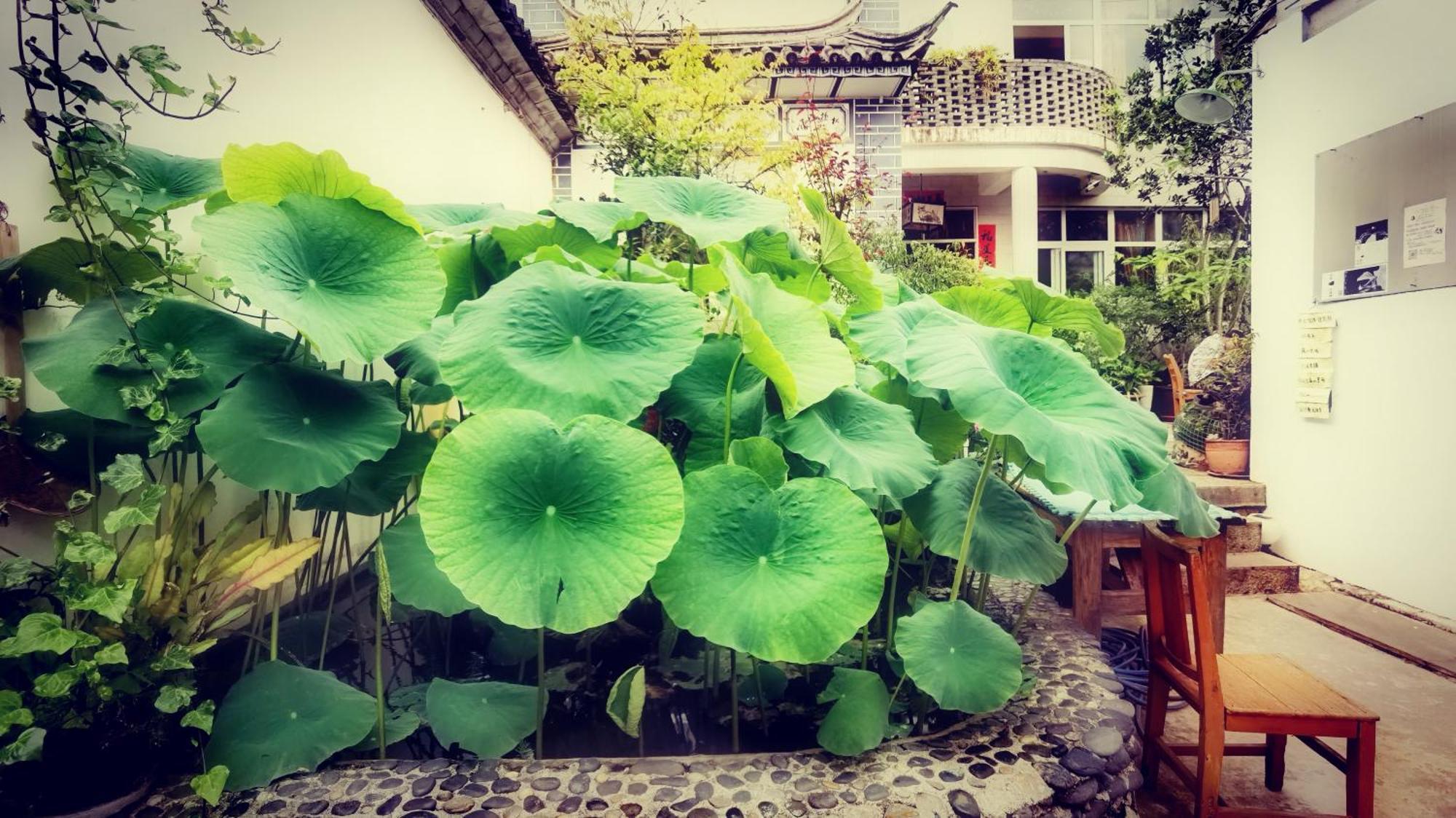 The Lily Pad Inn Dali  Exterior foto